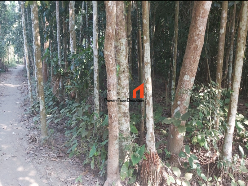 Image 1 Title