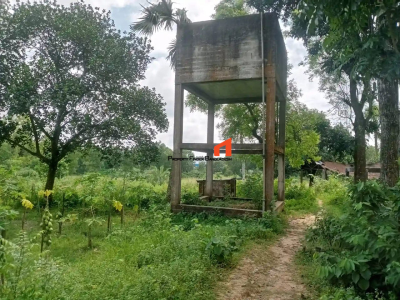 Image 1 Title