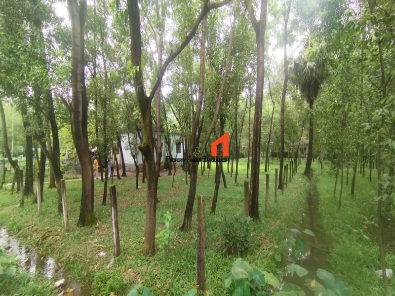 Image 1 Title