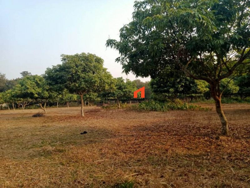 Image 1 Title