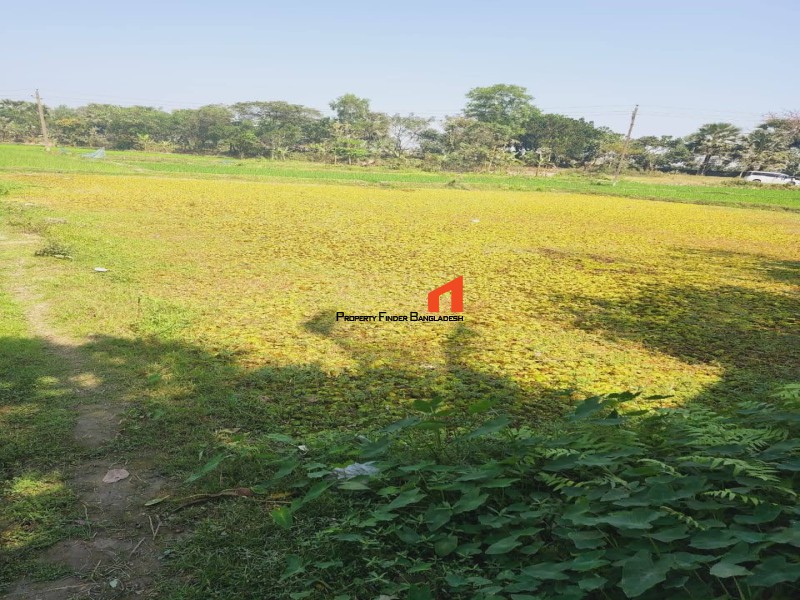 Image 1 Title