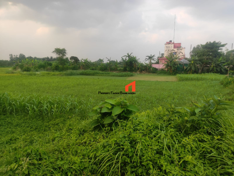 Image 1 Title
