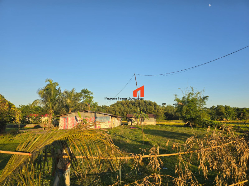 Image 1 Title