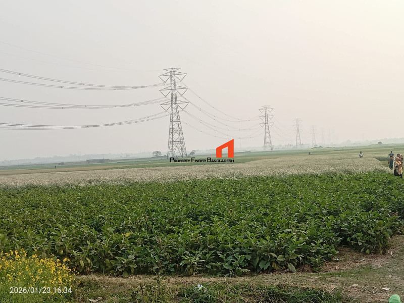 Image 1 Title