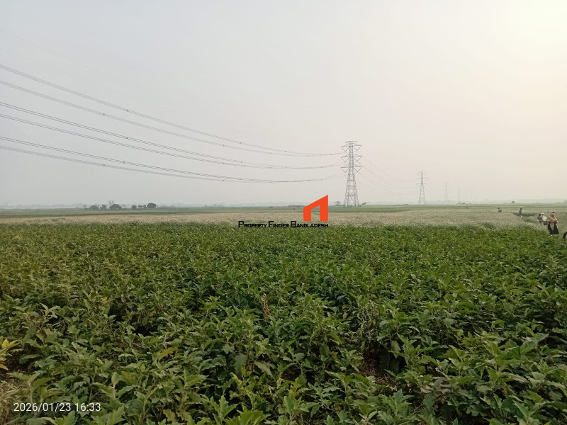 Image 1 Title
