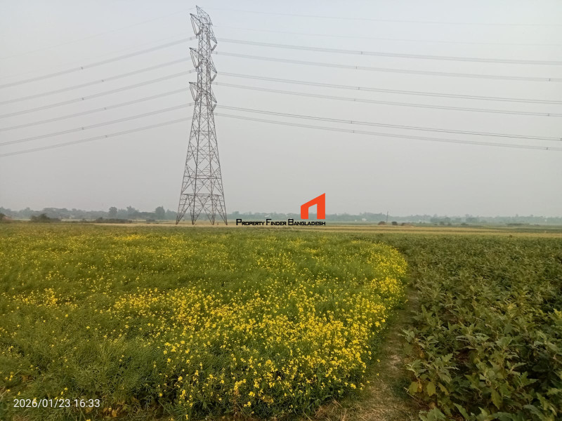 Image 1 Title