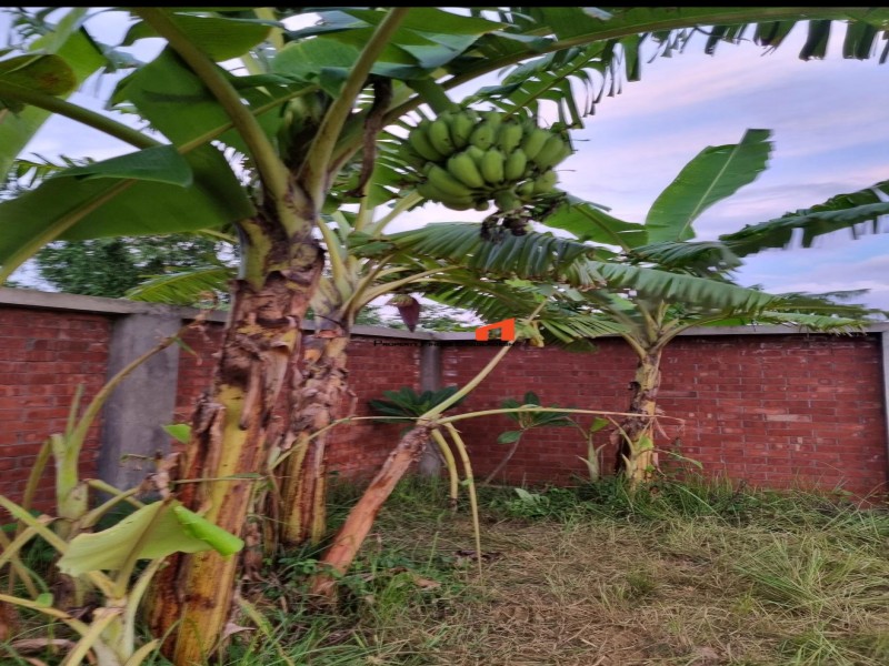 Image 1 Title